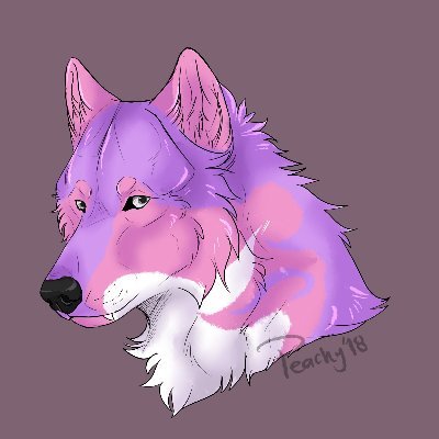 KatariaWolf Profile Picture