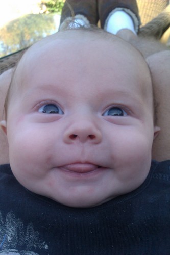 daveglarson's profile picture. He who laughs last...thinks slowest