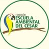 redambientalco's profile picture. Soñando que nuestros niños salgan de las cuatro paredes nace la Escuela Ambiental del Cesar hace 28 años 🍃🇨🇴
Contacto: 📞3185113832