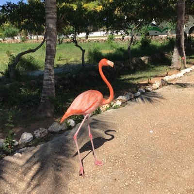 ShelleyPage1's profile picture. 