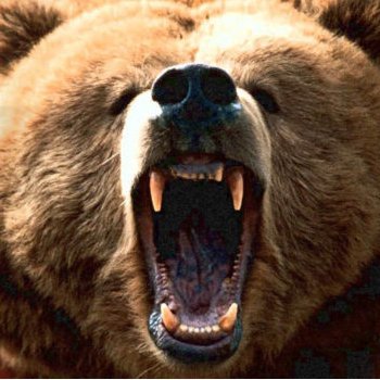 MatecFabrizio's profile picture. Giornalista per finta