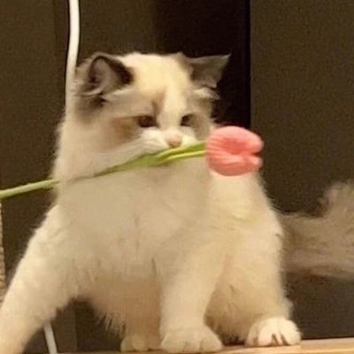 imyourfearev's profile picture. 