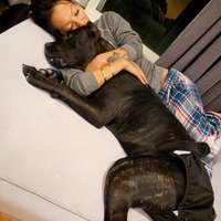 Julianna (@julianna83padil) 's Twitter Profile