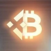 BNBTC21MILLION Profile Picture