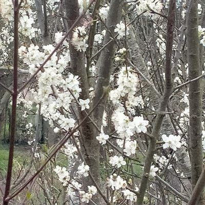 PWL360's profile picture. j'aime la lecture.