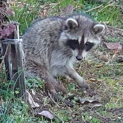 sankasanka65912's profile picture. rule the waves3、パラドゲー、ドルフロ、ニュークラ好き

ボイロ実況を投稿しています
https://t.co/AJgQ7CI35j
https://t.co/WeL164PRIj