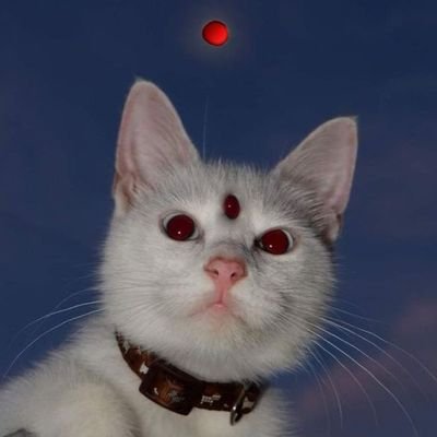 101man1cpan1c's profile picture. 