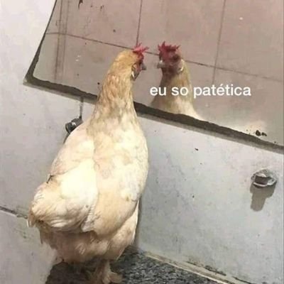 pinkat_aaa's profile picture. O que a Lorelay Gilmore faria?