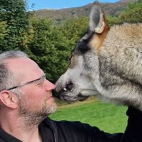Torsten Weise (@quentyn) 's Twitter Profile