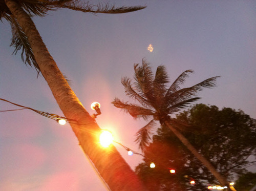 Travel, sunsets, chess, music, arts, events, wildlife, food, fun times and digital marketing.