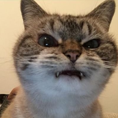 turingzero's profile picture. 