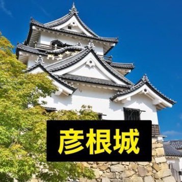 yamamo10kazumi's profile picture. 今年75歳になる老人です。農作業を頑張ってます。 自宅にいる時はもっぱらパソコンに向き合っています。 時代の流れに負けないように、twitter・LINE・Instagram・youtube。最近話題のChatGPTと向き合う時間が長くなってきました。 ＃家庭農園＃youtube＃ChatGPT