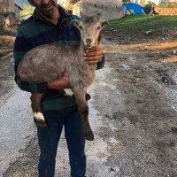 Hasan (@hasanak0738) 's Twitter Profile