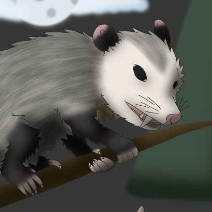 ζΘΔ, consentual practicing zoophile / zoosexual, vegetarian therian feral opossum furry, nature lover, shy but friendly, I'm a very cuddly poss, 27 years old