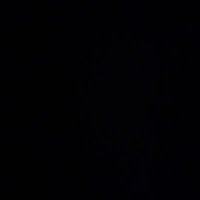 Nico Wagner (@niko_wagnerrr) 's Twitter Profile