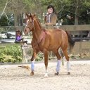 Mindy Burns - @MindyBurns24003 - Twitter