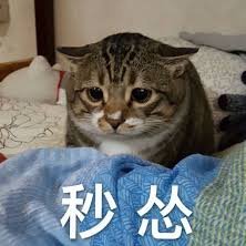 人生就是由欲望不满足而痛苦和满足之后无趣这两者所构成。你满心期待着未来的某个快乐,未必理智认知到了它是短暂的而不会持久。人的一生的本质是痛苦,快乐只是昙花一现。
不自由,毋宁死。——帕特里克·亨利👊