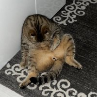 Can (@letsqn) 's Twitter Profile Photo Can (@letsqn) 's Twitter Profile Photo