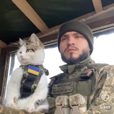 Батько Шайбіка 🇺🇦🪖Ukrainian defender & cat dad inst: a_lyashuk_
