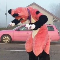 aman (@qurzy74) 's Twitter Profile