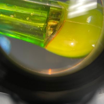 Akcharms29's profile picture. 