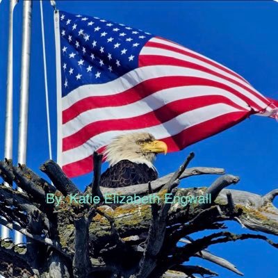 Lady_Patriot2 Profile Picture