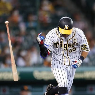 #阪神タイガース ファンです⚾️