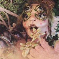 fae 🌿 (@luvfaeeee) 's Twitter Profile