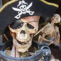 Crazy Pirate (@capt_son) 's Twitter Profile