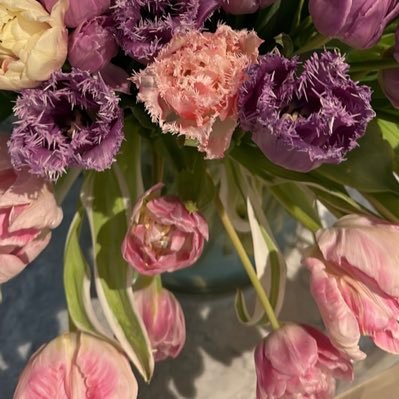 Berivanyalcin_'s profile picture. 