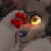 maiden._.furry (@furrymaide90799) Twitter profile photo maiden._.furry (@furrymaide90799) Twitter profile photo