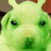 squid ward (@lowlampiight) Twitter profile photo squid ward (@lowlampiight) Twitter profile photo