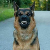 Redd (@44redd44) 's Twitter Profile