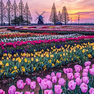 新しく事に当たる。未来は明るい😀 悪い人には騙されない。いい人の顔を被った人にも騙されない。自らを律して明るく前向きに。