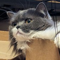田中実 (@6gy6cfg6wtbrros) 's Twitter Profile
