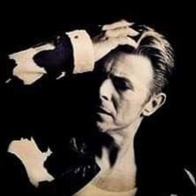 This is your shadow on my wall.
This is my flesh and blood.
This is what I could've been...

David Bowie