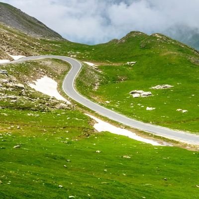 6566760lu's profile picture. 人生何处不相逢，一谈钱时人人散