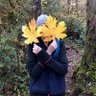 lltownley's profile picture. Citizen Scientist & Volunteer ESL tutor
she/her
https://t.co/BgATF4DoDS