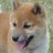 motosuke2's profile image