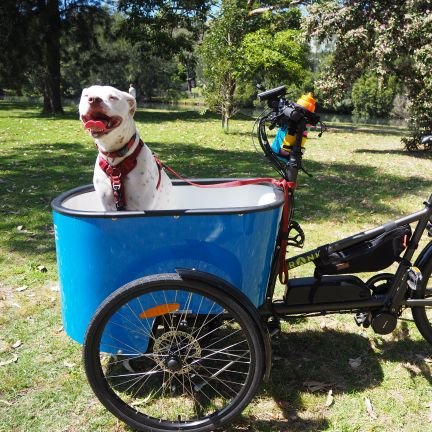 MattSwoon's profile picture. rides a bike, writes a code (he/him)