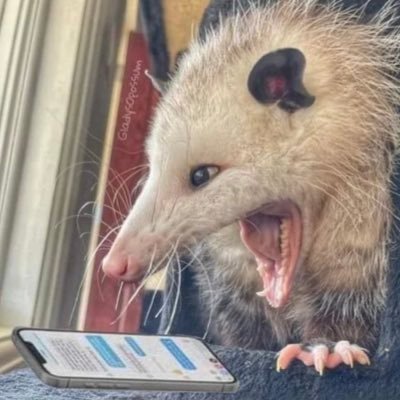 Hard-hearted harbinger of haggis. former blue check.