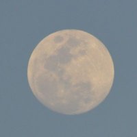 Banisaad (@banisaad) 's Twitter Profile Photo