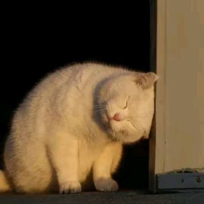 LinkPowerplus's profile picture. 