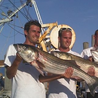 johnbri2010's profile picture. 