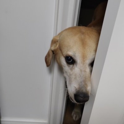chancelq's profile picture. still have a dream