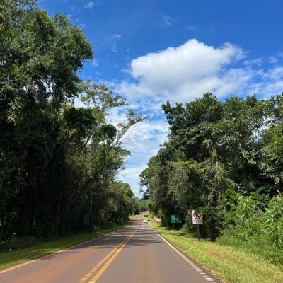 Valeria32088276's profile picture. 💜💙💛