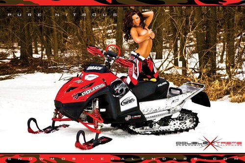 Polarismike8's profile picture. 