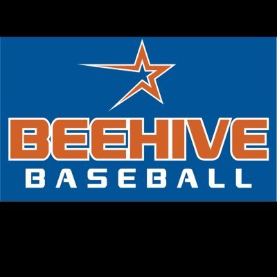 beehivebsbl Profile Picture