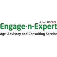 Engage an Expert is a specialized and dedicated platform that connects organizations with the right experts and gets any service, advice, or consultation.