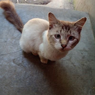 Toyan531's profile picture. Nothing here